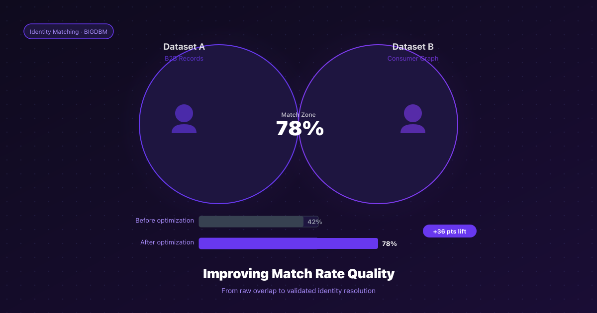 How to Audit Match Rates and Improve Data Quality – BIGDBM