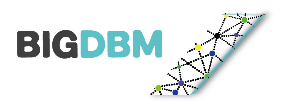 BigDBM with logo